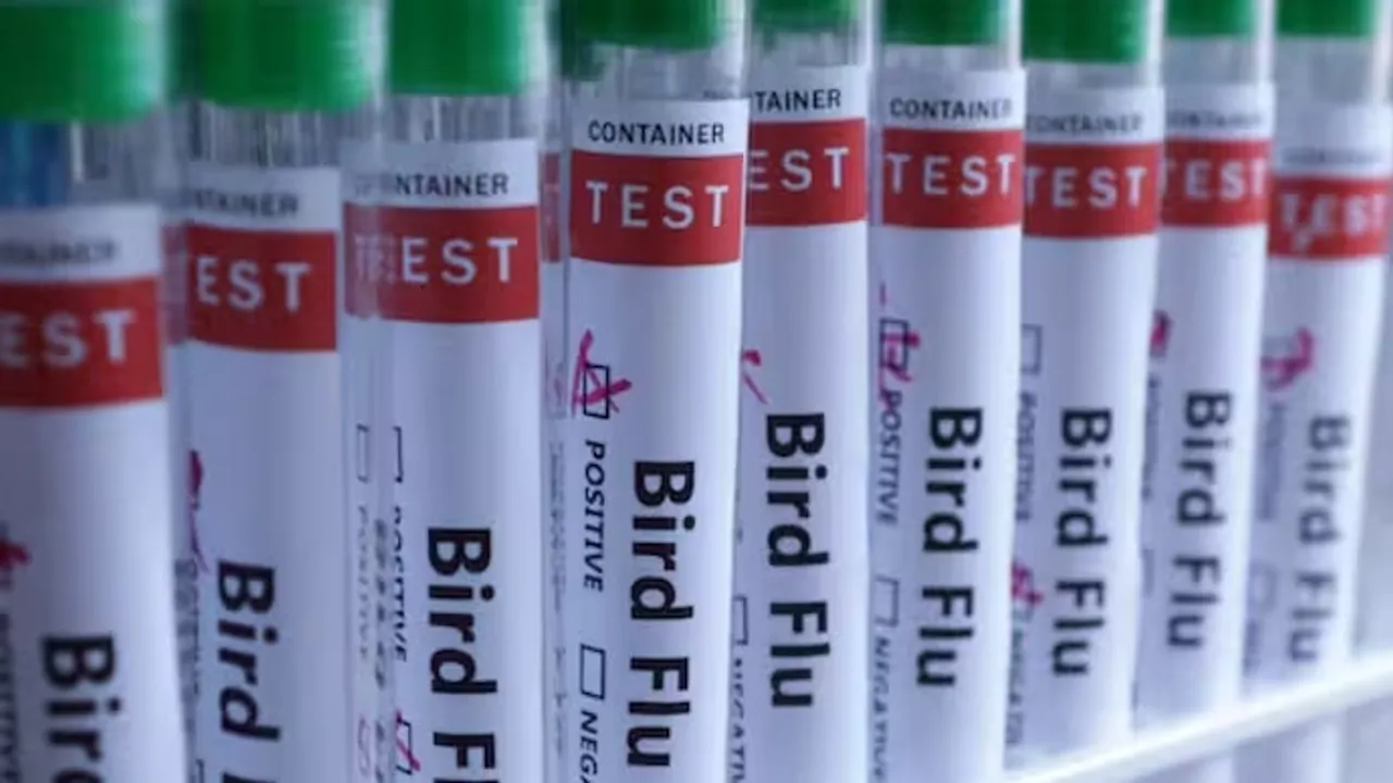 06bbs_45_06022026_111