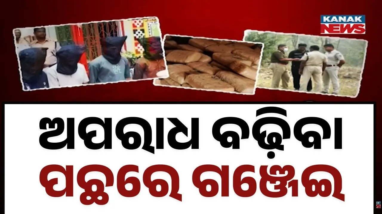  Ganja Smuggling Photograph: (Kanak News) 