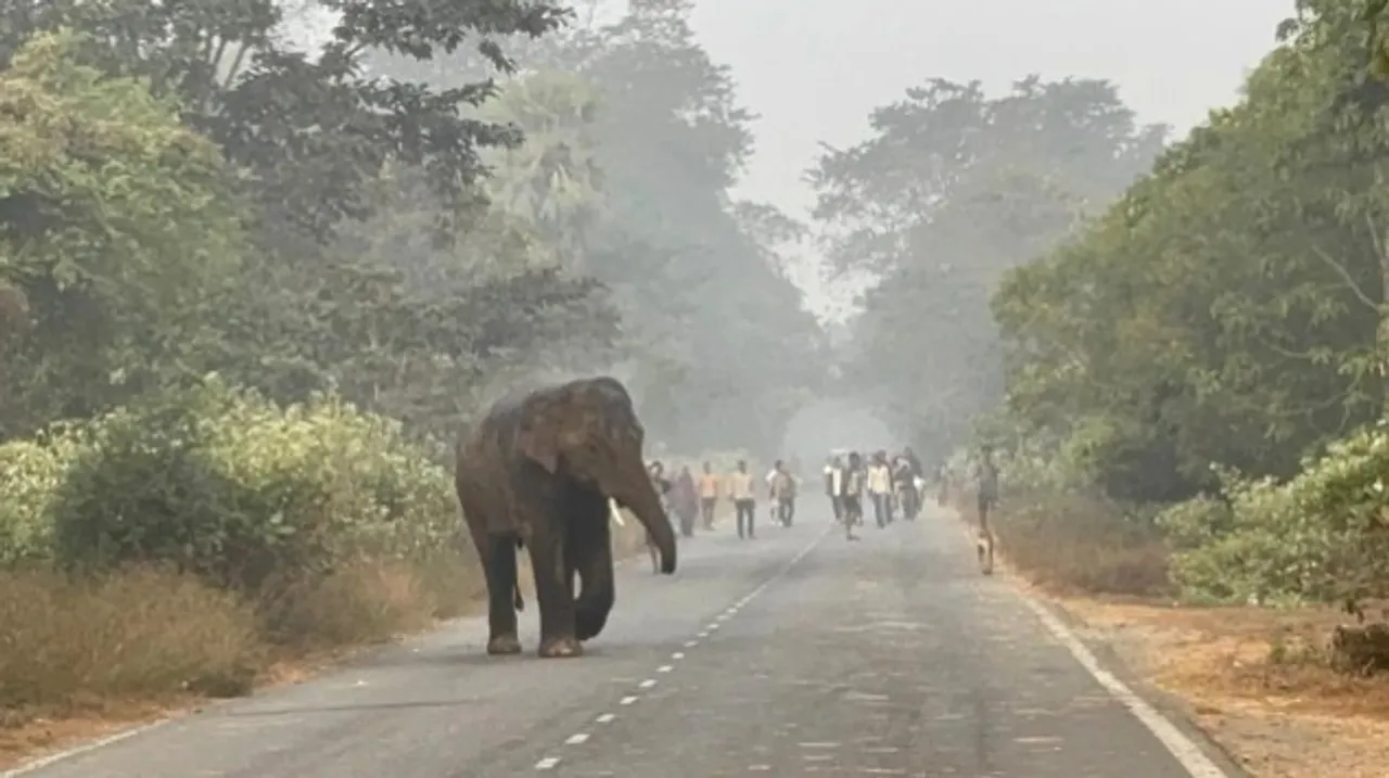  Photograph: (KANAKNEWS) 