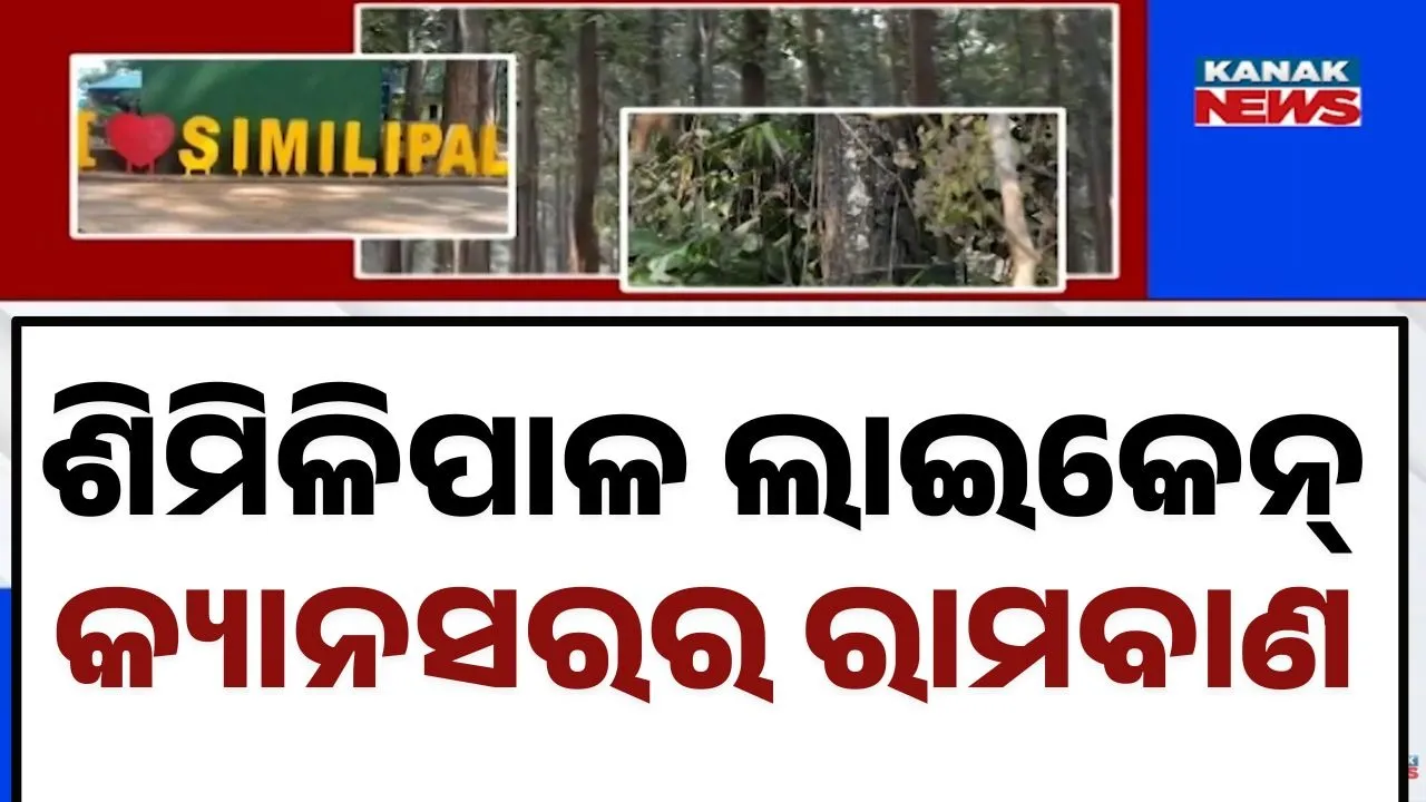  Similipala Photograph: (kanak news) 