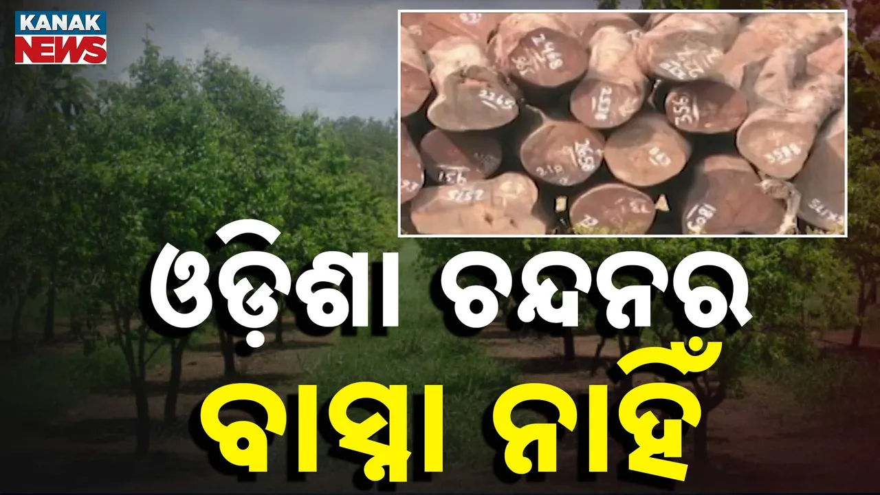  Photograph: (KANAKNEWS) 