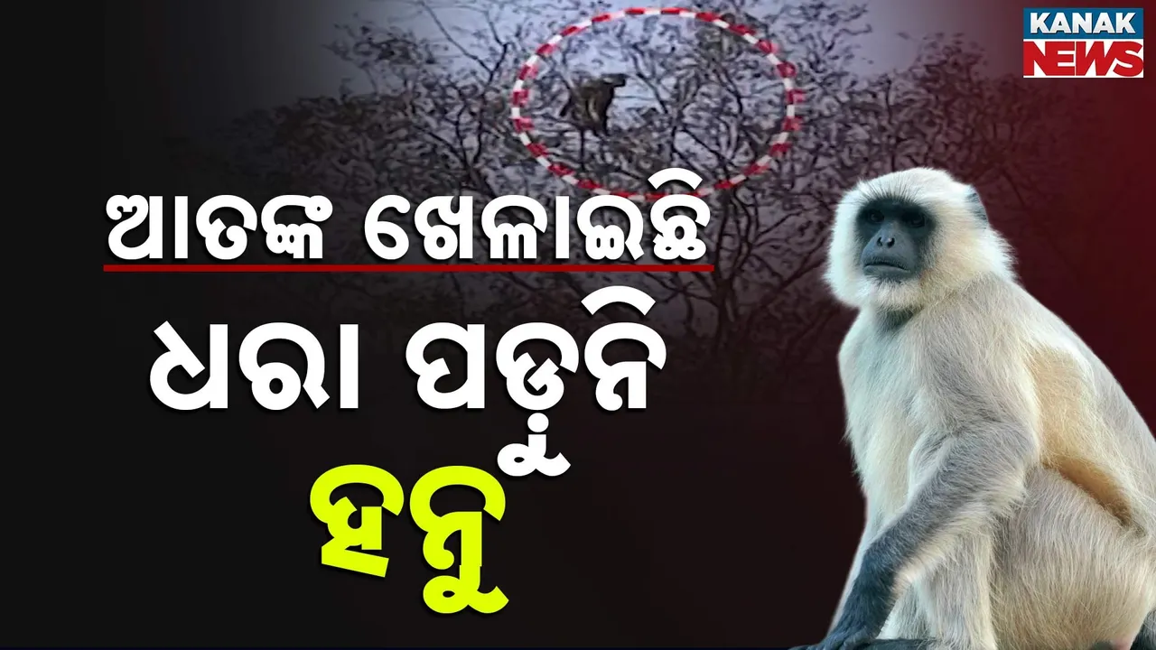  ODISHA Photograph: (KANAK NEWS) 