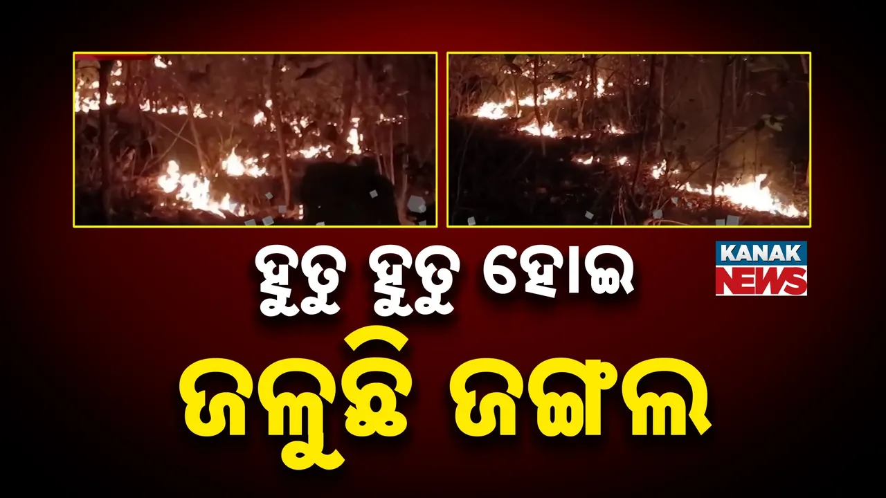  ବାରିପଦା ବନଖଣ୍ଡରେ ଜଙ୍ଗଲ ଅଗ୍ନିକାଣ୍ଡ , ଗାଁକୁ ମାଡ଼ିଆସୁଛି ନିଆଁ ଭୟରେ ଗ୍ରାମବାସୀ