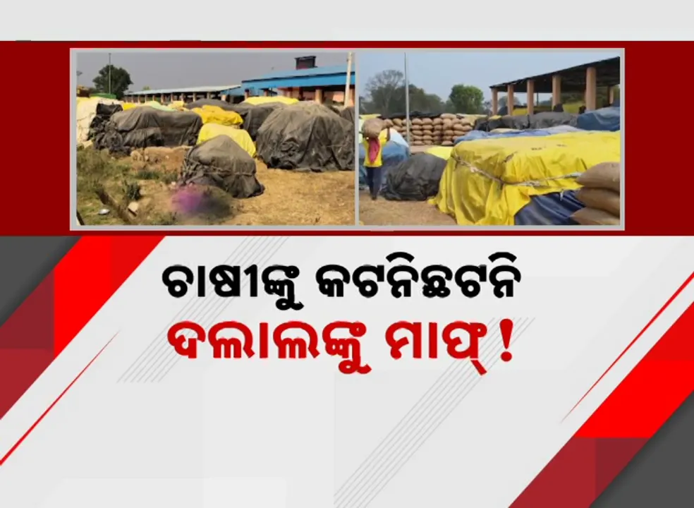  Paady Procurement Photograph: (Kanak News) 