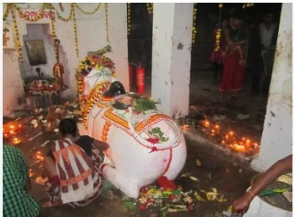  Photograph: (kanaknews) 