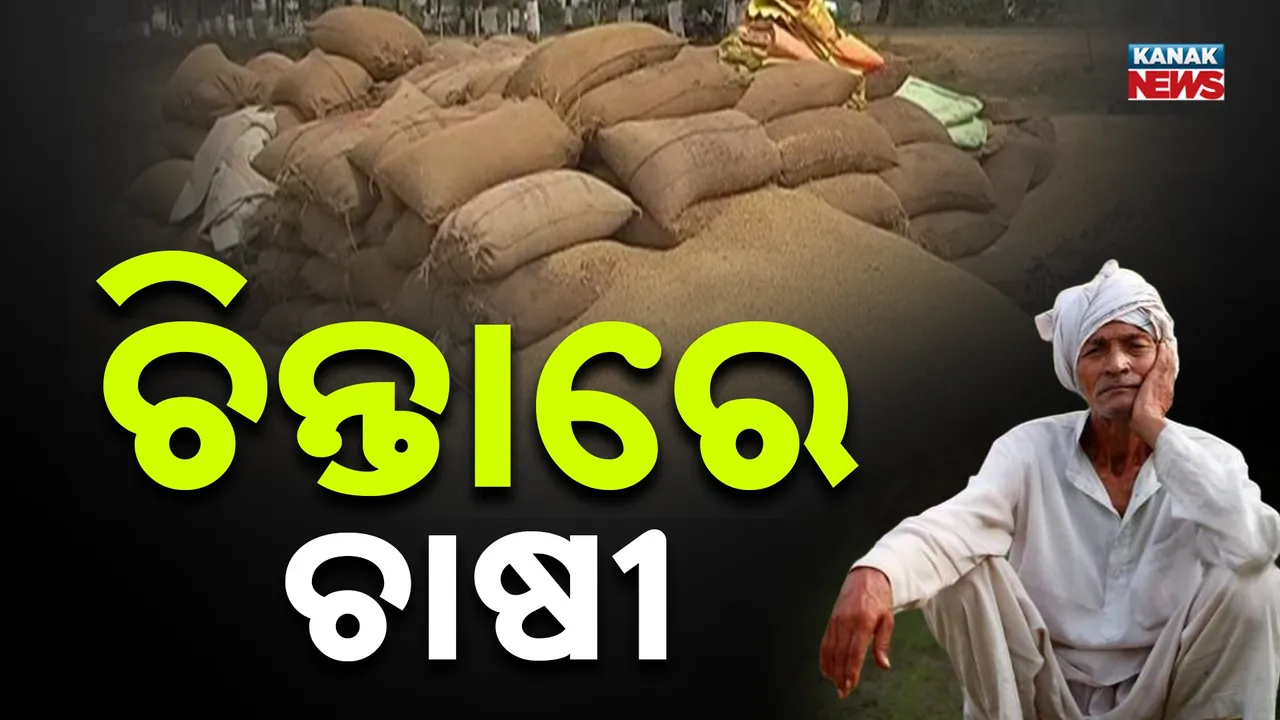  ମଣ୍ଡିରେ ପଡିରହିଛି ହଜାର କୁଇଣ୍ଟାଲ ଧାନ ; ଧାନ ଉଠିବାରେ ବିଳମ୍ବ ହେଉଥିବା ଅଭିଯୋଗ କରିଛନ୍ତି ଚାଷୀ