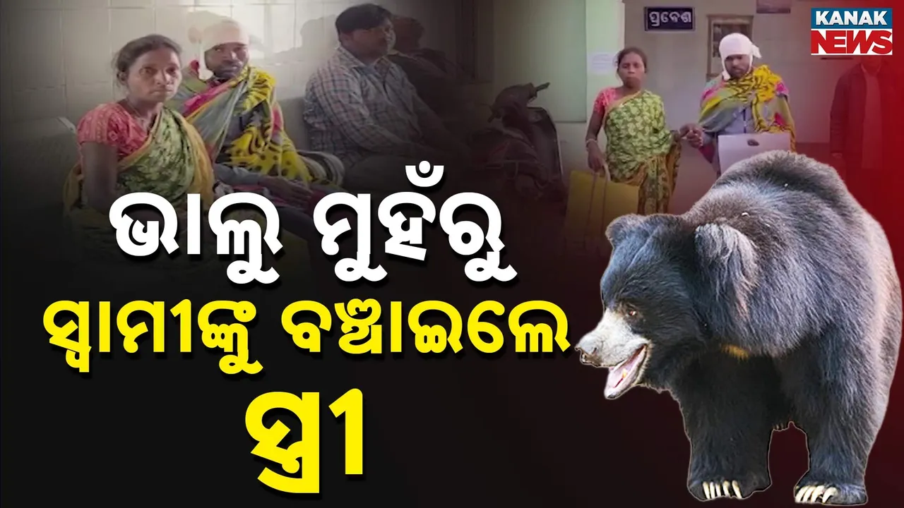  ମୟୂରଭଞ୍ଜରେ ରୋମାଞ୍ଚକ ଘଟଣା, ଭାଲୁ ସହ ଯୁଦ୍ଧ କରି ସ୍ୱାମୀଙ୍କୁ ବଞ୍ଚାଇଲେ ସାହସୀ ସ୍ତ୍ରୀ