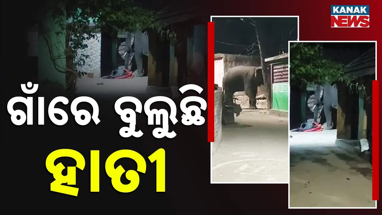  Photograph: (Kanak News) 