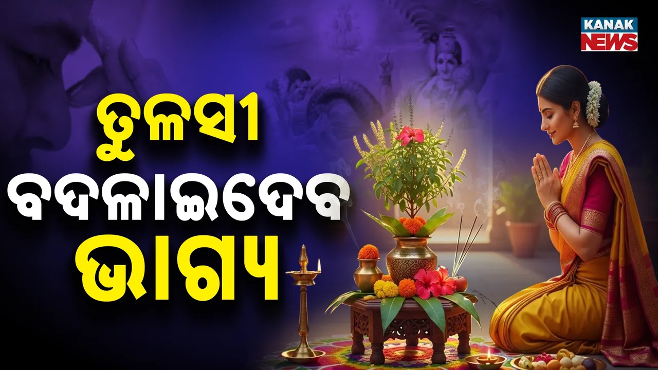  ତୁଳସୀ ବଦଳାଇଦେବ ଭାଗ୍ୟ ; ଏକାଦଶୀରେ କରନ୍ତୁ ବିଶେଷ ଉପାୟ