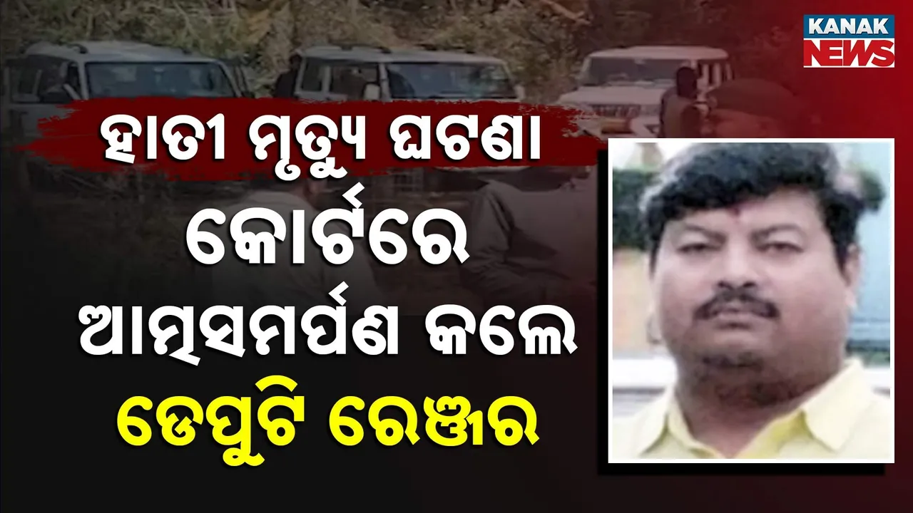  Elephant Photograph: (Kanak News) 