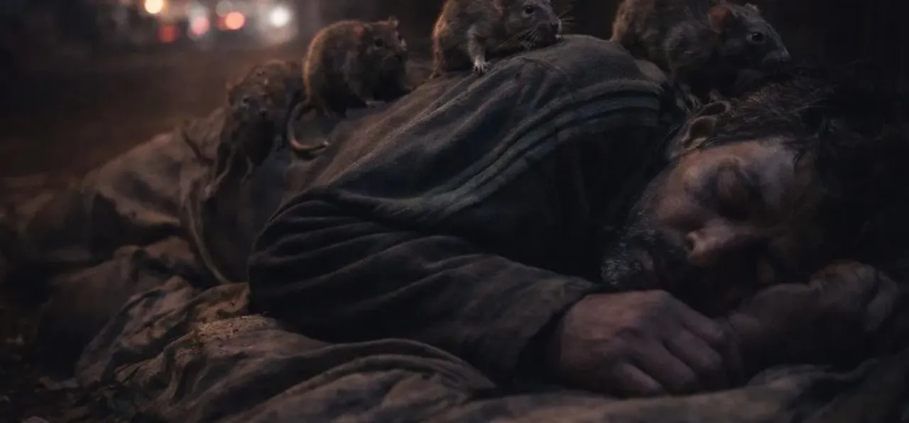  Rat Photograph: (google) 