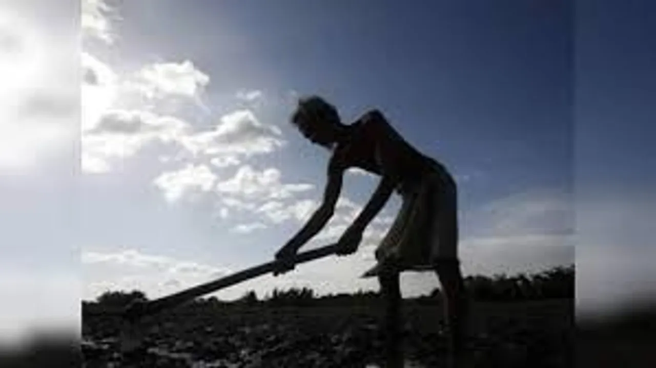  farmer death Photograph: (Google) 
