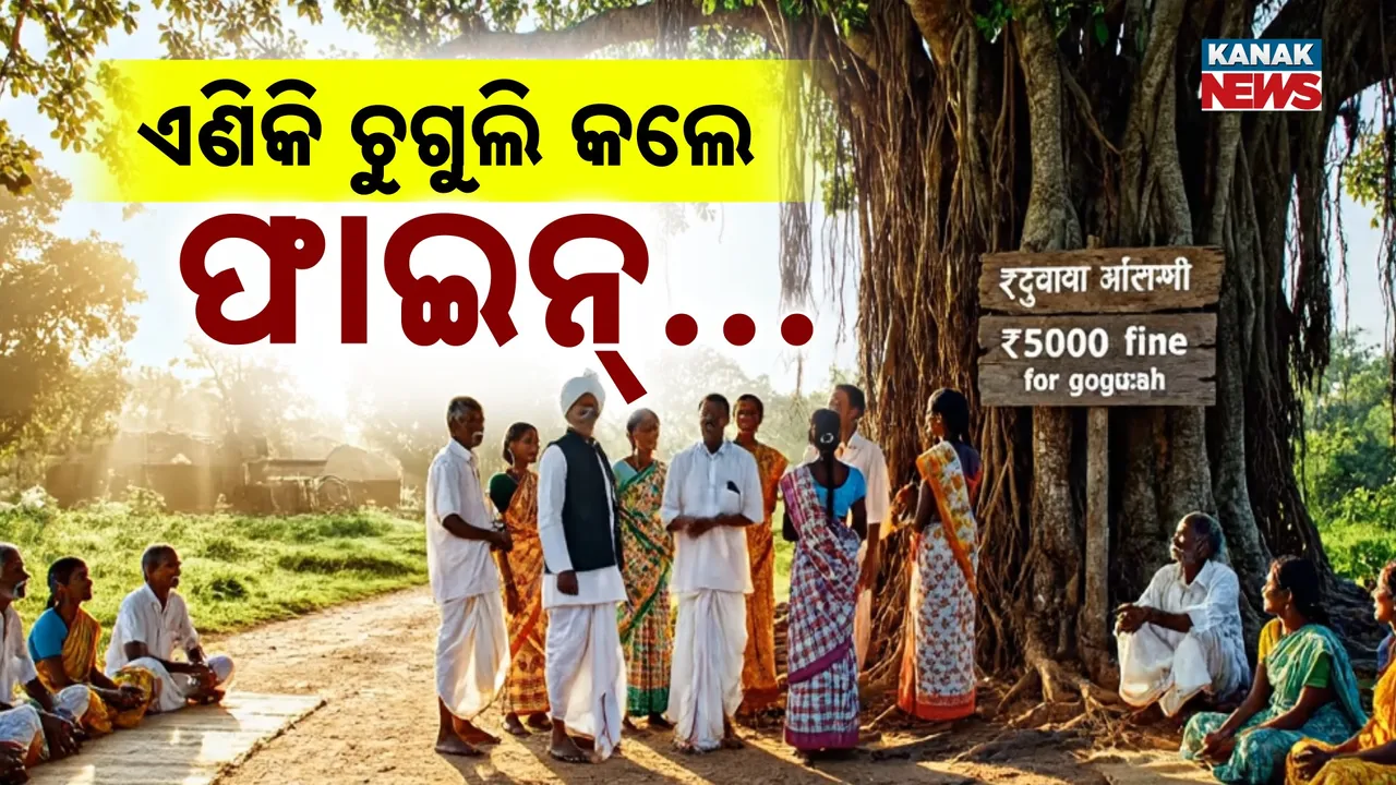  gossip Photograph: (kanak news) 