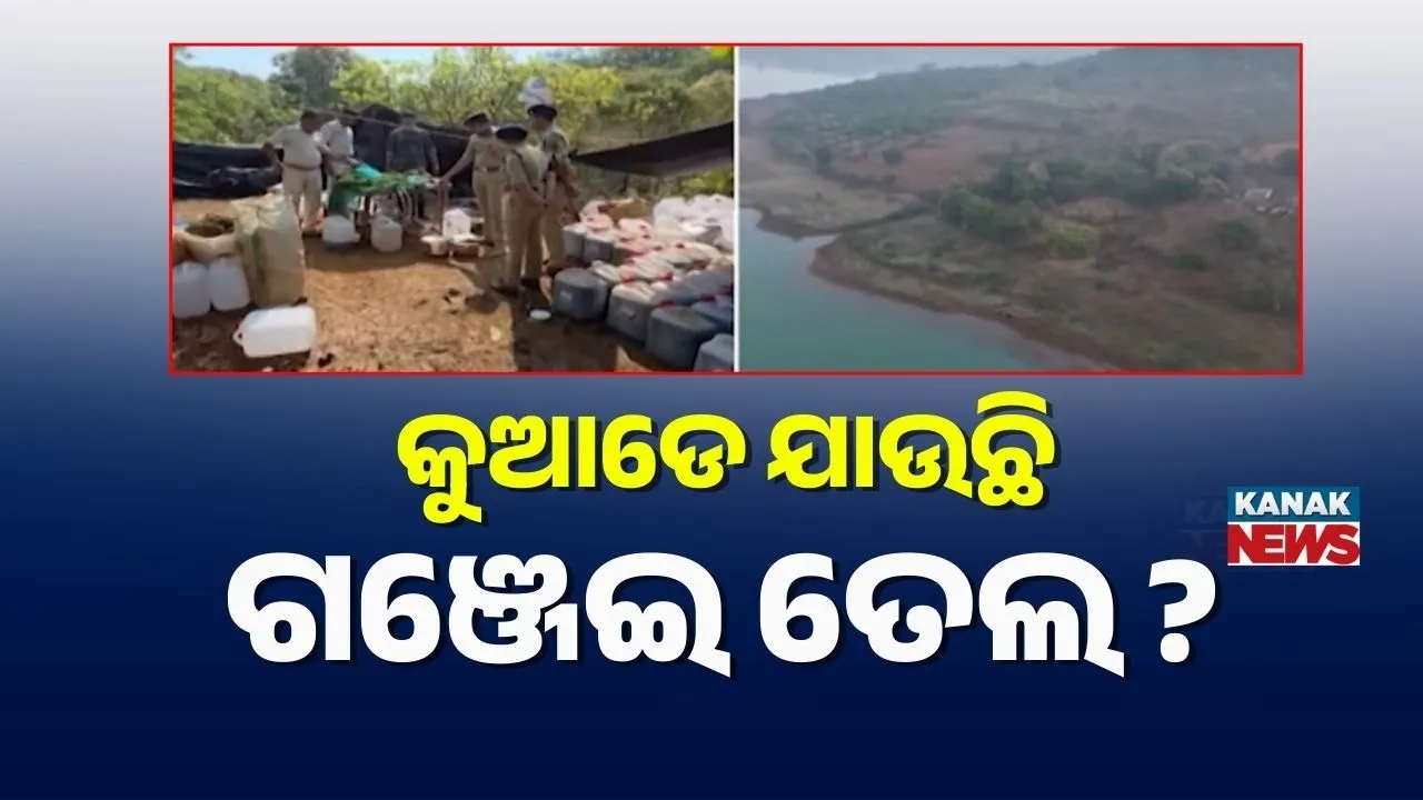  Photograph: (kanak news) 