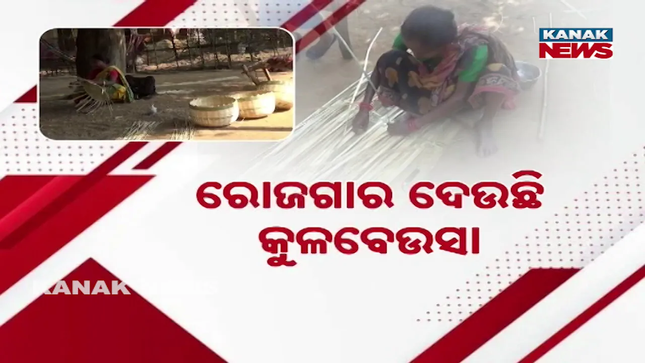  ରୋଜଗାର ଦେଉଛି କୁଳବେଉସା, ୪୦ ପରିବାରର ପରିଚୟ ପାଲଟିଛି ବାଉଁଶ କାରିଗରୀ