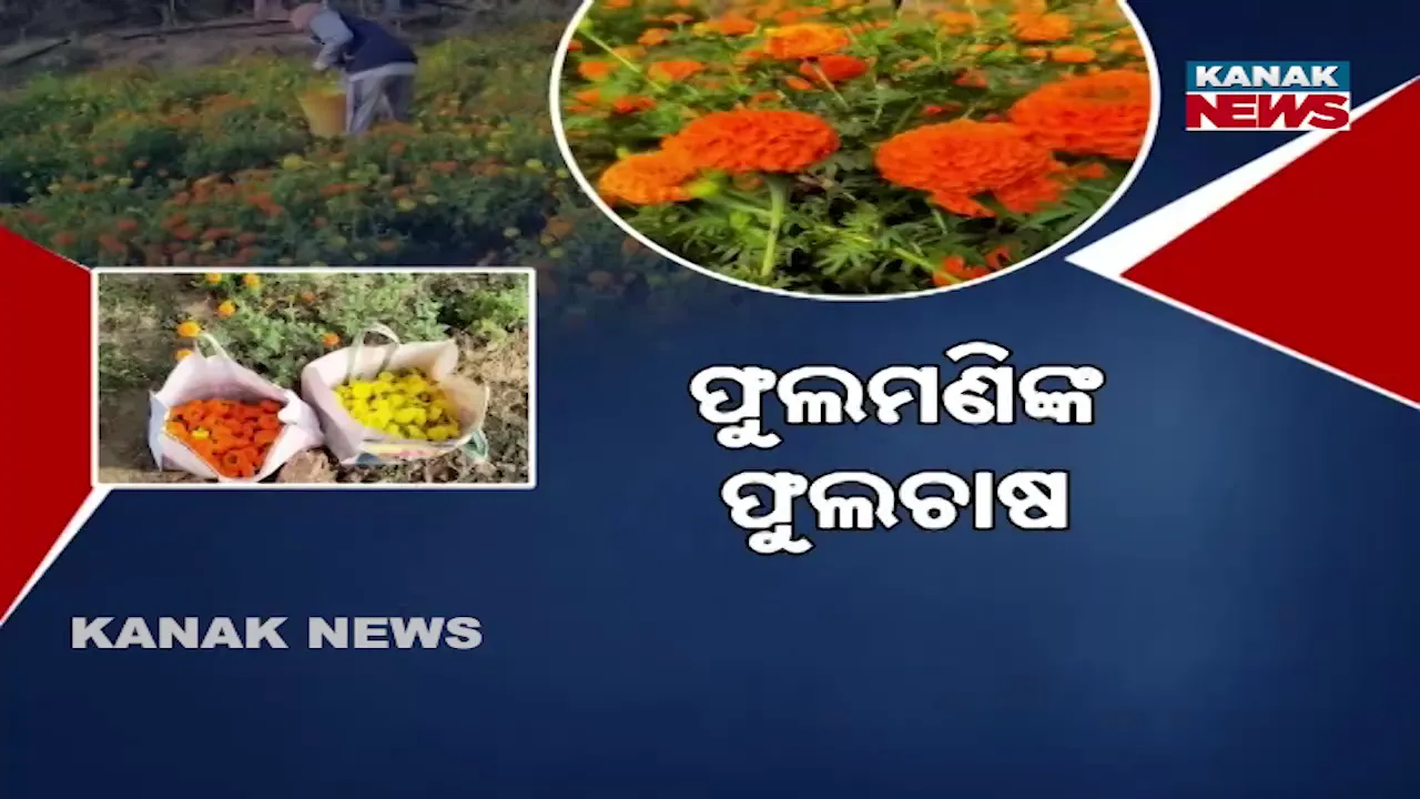  ଫୁଲମଣିଙ୍କ ଫୁଲଚାଷ, ଅନ୍ୟ ପାଇଁ ପାଲଟିଛନ୍ତି ପ୍ରେରଣା