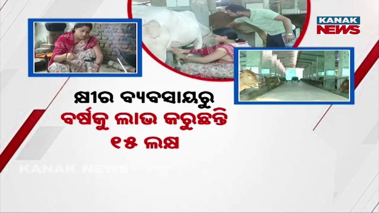  ଗୋପାଳନରୁ ଲକ୍ଷପତି ମହିଳା ଚାଷୀ, କ୍ଷୀର ବ୍ୟବସାୟରୁ ବର୍ଷକୁ ଲାଭ କରୁଛନ୍ତି ୧୫ ଲକ୍ଷ