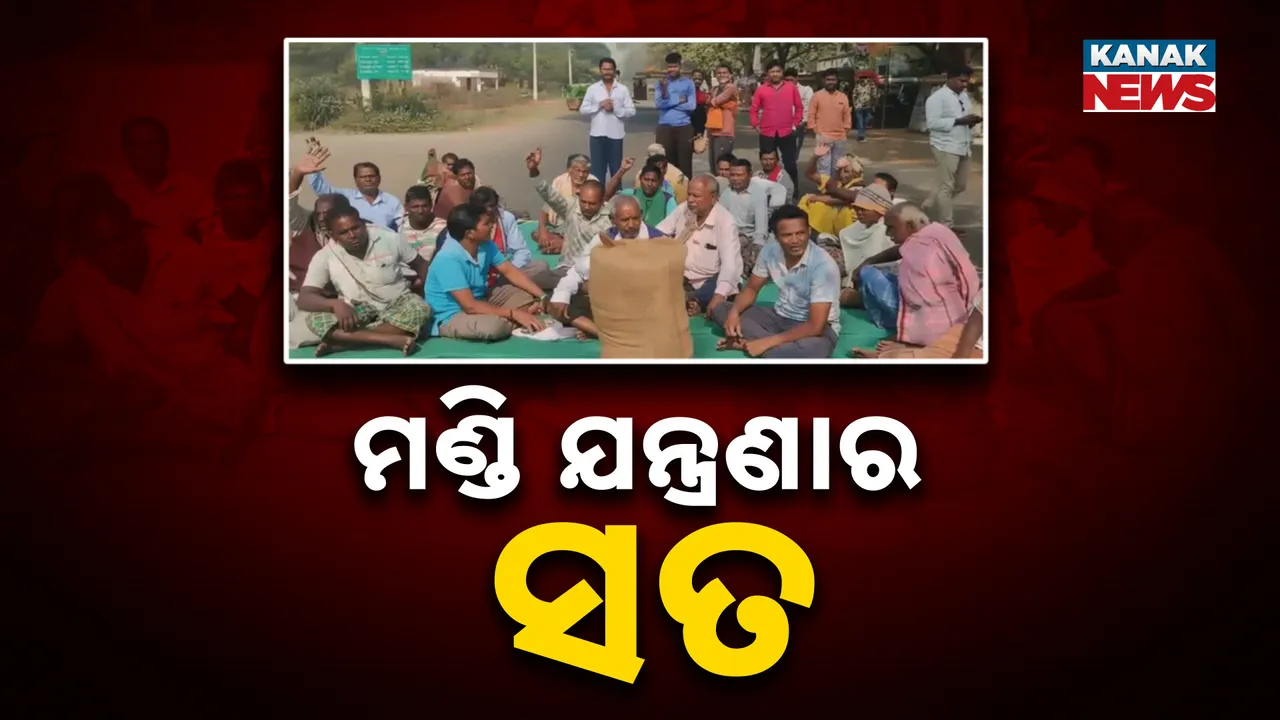  ସରୁନି ମଣ୍ଡି ଯନ୍ତ୍ରଣା ; ମିଳିନି ଟୋକନ୍‌, ଜଗିଛନ୍ତି ଚାଷୀ