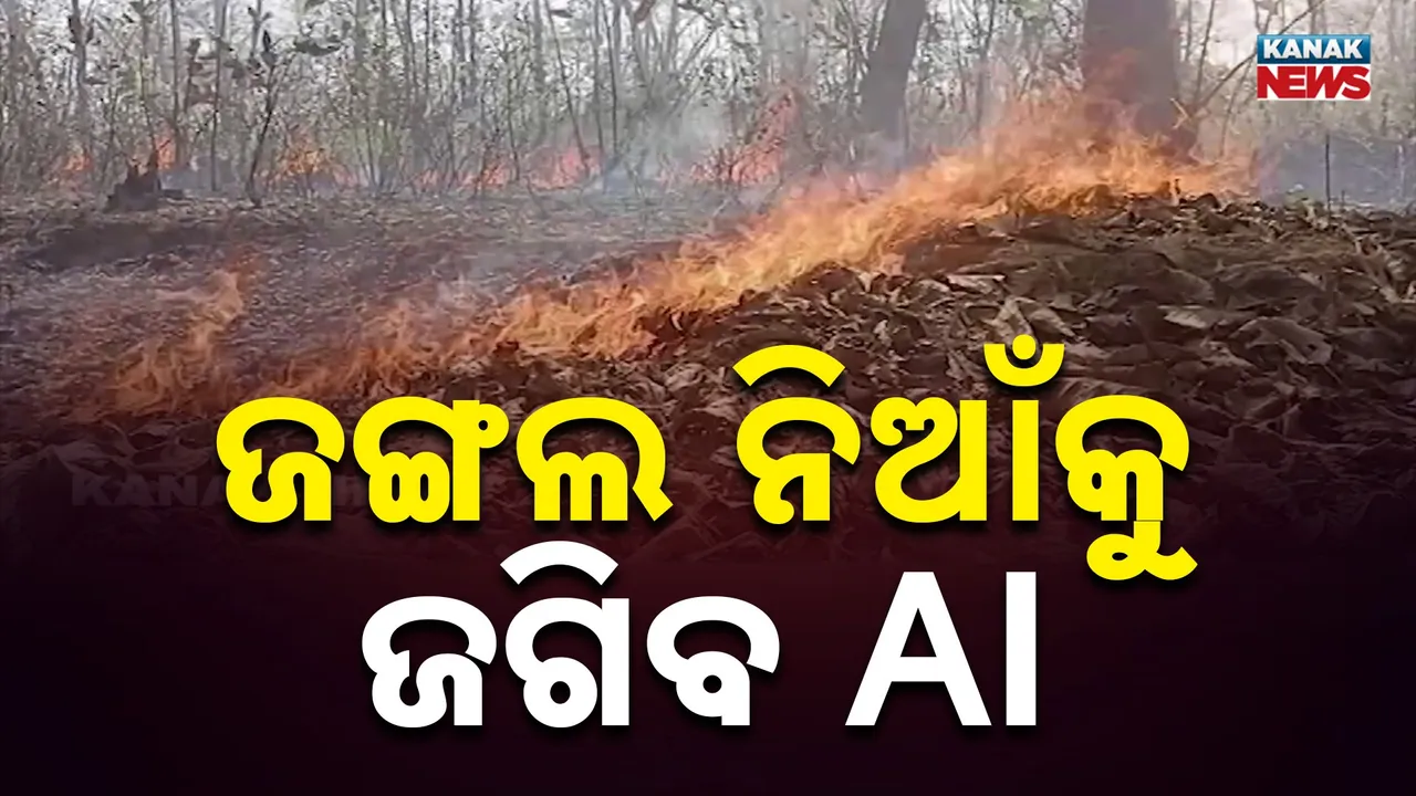  Forest Photograph: (Kanak News) 