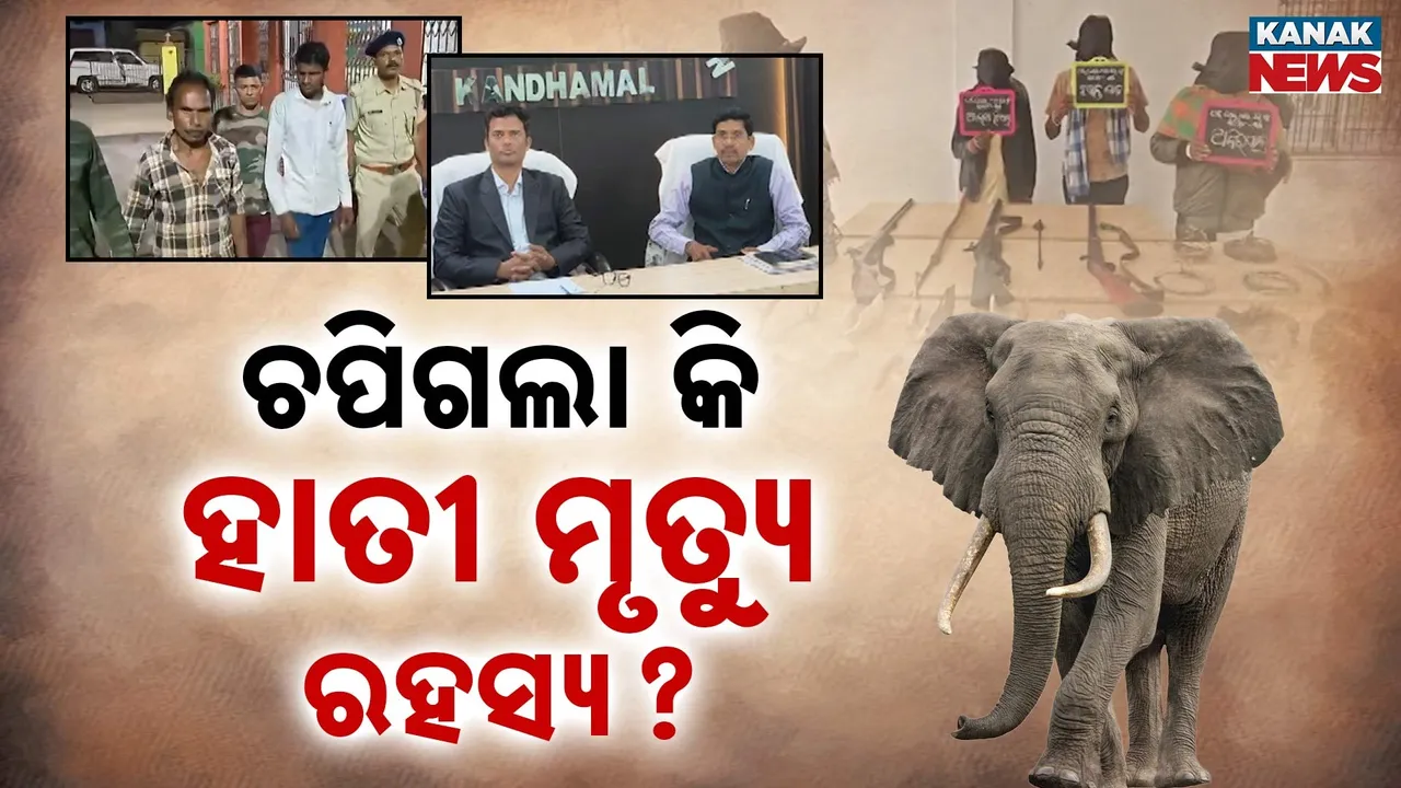  ଏବେ ବି ରହସ୍ୟ ଘେରରେ କନ୍ଧମାଳ ହାତୀ ମୃତ୍ୟୁ ଘଟଣା, ସସ୍ପେନ୍ସ ବଢ଼ାଇଲା ଅଭିଯୁକ୍ତଙ୍କୁ ସହଜରେ ଜାମିନ