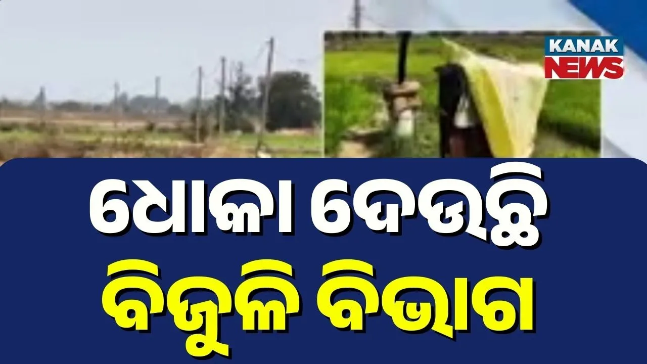  ଫାଟି ଆଁ କଲାଣି ରବି ଋତୁର ଧାନ କ୍ଷେତ, ବିଦ୍ୟୁତ୍ ସରବରାହ ବନ୍ଦ, ଶୁଖିଲା କ୍ଷେତ ଦେଖି ଚାଷୀ ହତାଶ