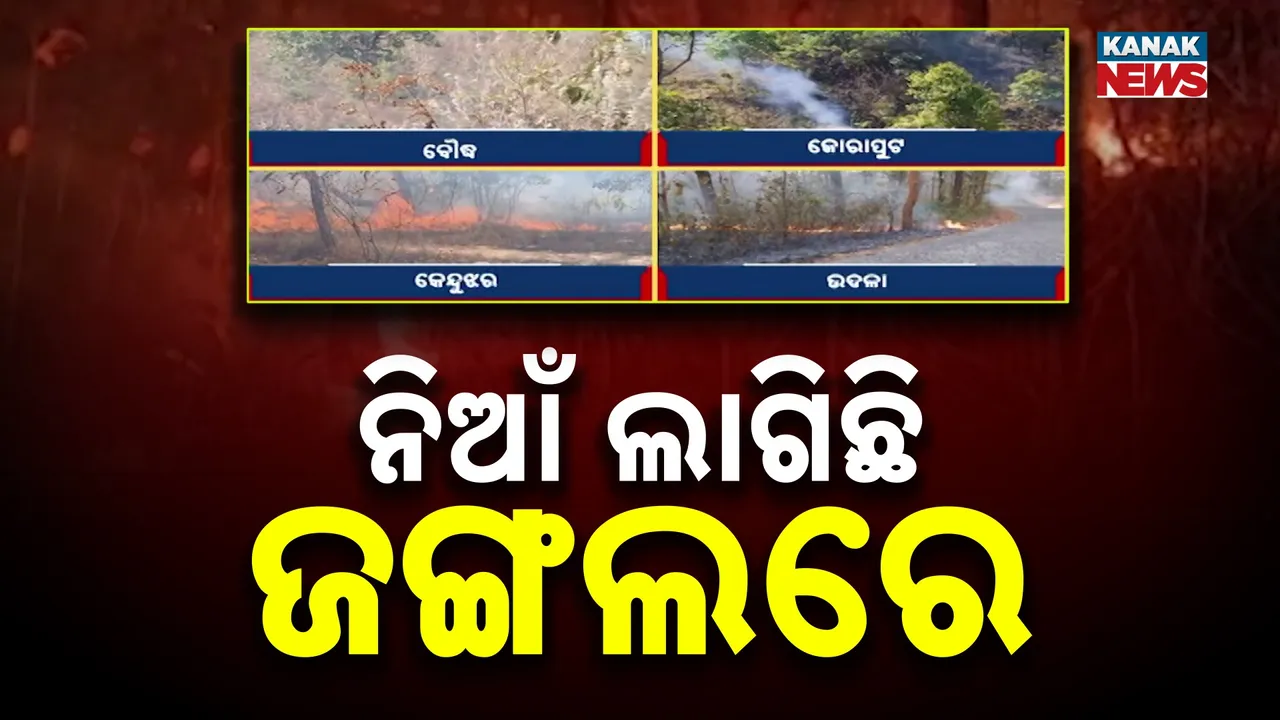  Forest Fires Photograph: (Kanak News) 