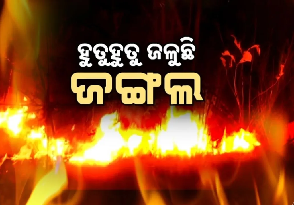  ଅଣାୟତ ଜଙ୍ଗଲ ନିଆଁ, ଜଳୁଛି ରାଜ୍ୟର ୨ ହଜାରରୁ ଅଧିକ ପଏଣ୍ଟ
