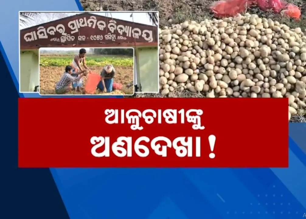  ଫସଲ ସାଇତିବାକୁ ନାହିଁ ଶୀତଳ ଭଣ୍ଡାର, ମିଳୁନି ଉପଯୁକ୍ତ ବଜାର ମୂଲ୍ୟ, କ୍ଷତି ସହୁଛି ଚାଷୀ