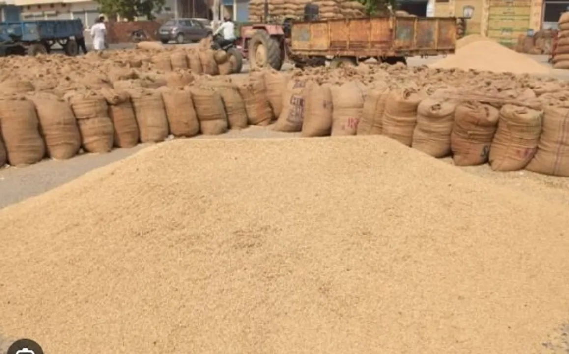  Photograph: (kanalknews) 