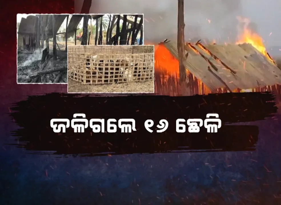  goats burnt alive Photograph: (kanak news) 