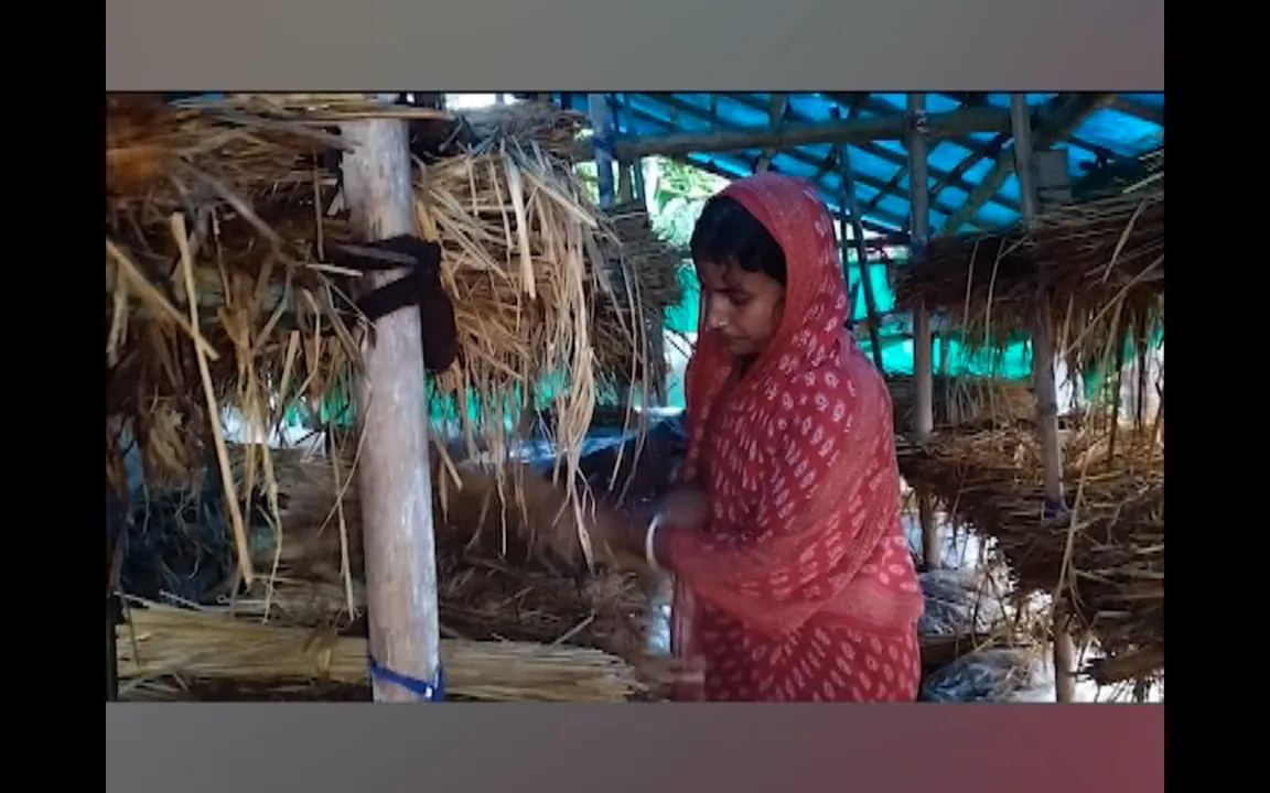  ଭୋଗରାଇ ଜୟରାମପୁର ଗାଁ ମହିଳାଙ୍କ ଛତୁ ଚାଷ । ୩ ବର୍ଷରେ ଲାଭ କରିଛନ୍ତି ୩ ଲକ୍ଷ ଟଙ୍କା