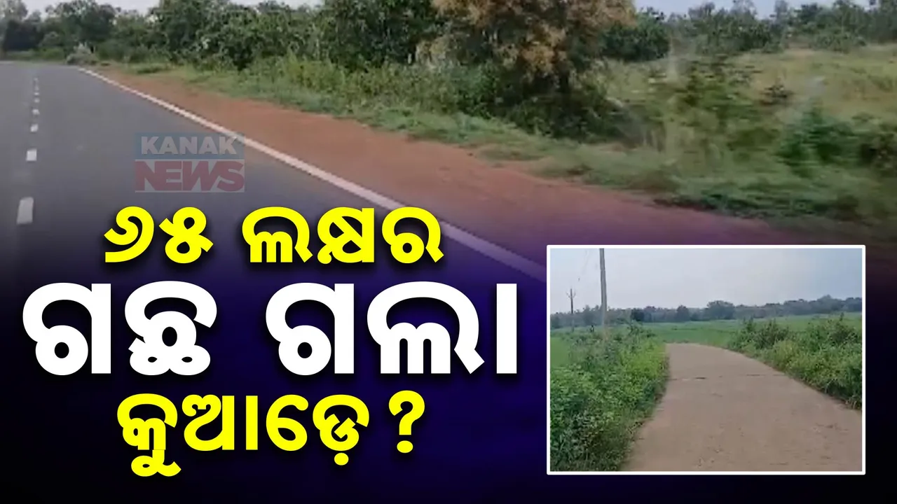  ରାସ୍ତାକଡ଼ରେ ବନୀକରଣ ଆଳରେ ଲକ୍ଷଲକ୍ଷ ଟଙ୍କା ଚଳୁ । ୧୨ଟି ରାସ୍ତାରେ ଗଛ ଲଗାଇ ୬୫ ଲକ୍ଷ ଟଙ୍କା ଉଠାଇଛି ଖୋର୍ଦ୍ଧା ବେଗୁନିଆ ବନ ବିଭାଗ