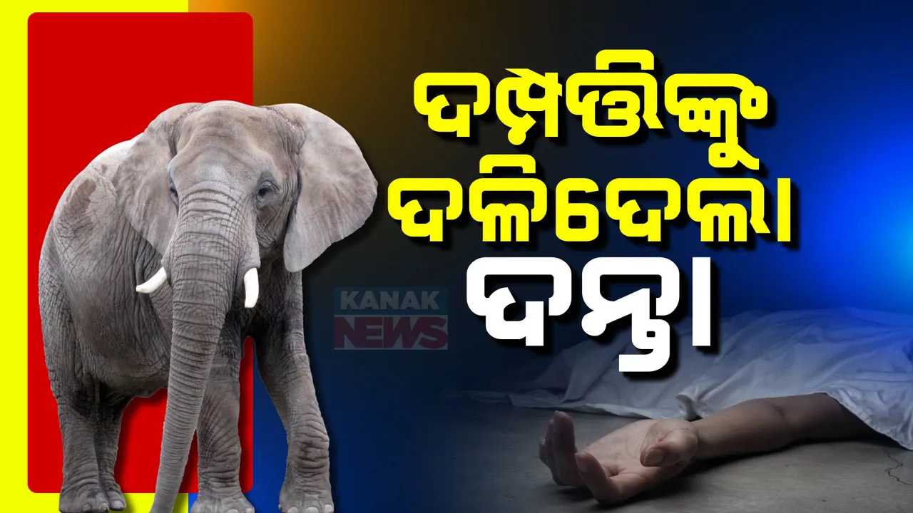  ଦମ୍ପତ୍ତିଙ୍କୁ ଦଳିଦେଲା ଦନ୍ତା;  ପାଟଣାଗଡ଼ ଚାବ୍ରିପଲି ଗାଁରେ ହାତୀ ଆତଙ୍କ