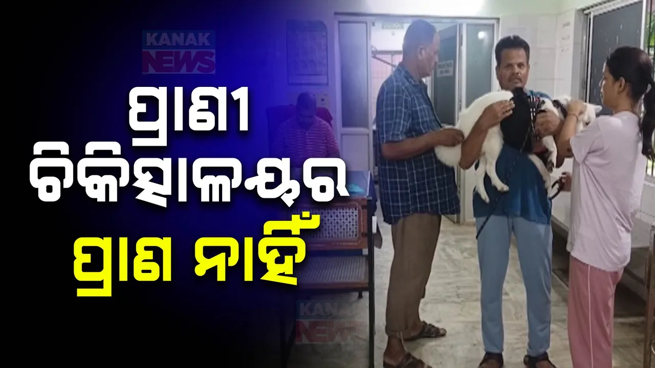  ବ୍ରହ୍ମପୁରରେ ଅସୁସ୍ଥ ସ୍ୱାସ୍ଥ୍ୟସେବା । ନାହିଁ ନାହିଁରେ ଚାଲିଛି ଗଂଜାମ ପ୍ରାଣୀ ମୁଖ୍ୟ ଚିକିତ୍ସାଳୟ ।
