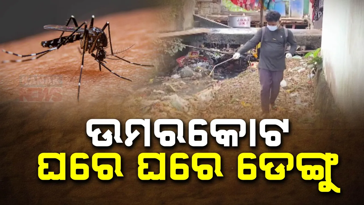  ବାହାରେ ଅସ୍ୱାସ୍ଥ୍ୟକର ପରିବେଶ, ଘରେ ଘରେ ରୋଗୀ । ସହର ଭିତରେ ଡରାଇଲାଣି ଡେଙ୍ଗୁ, ରୋକିବାକୁ ପ୍ରଶାସନର ପ୍ରୟାସ