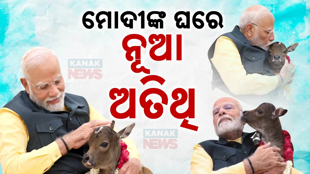  ମୋଦୀଙ୍କ ଘରେ ନୂଆ ଅତିଥି : ଘରକୁ ଆସଲା ଦୀପଜ୍ୟୋତି