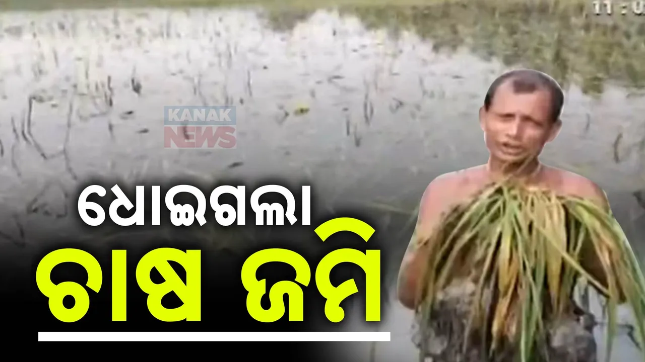  କମିଲା ପାଣି, ବଢିଲା ଲୋକଙ୍କ ସମସ୍ୟା । ପାଣିରେ ବୁଡ଼ି ରହିଛି ହେକ୍ଟର ହେକ୍ଟର ଚାଷ ଜମି