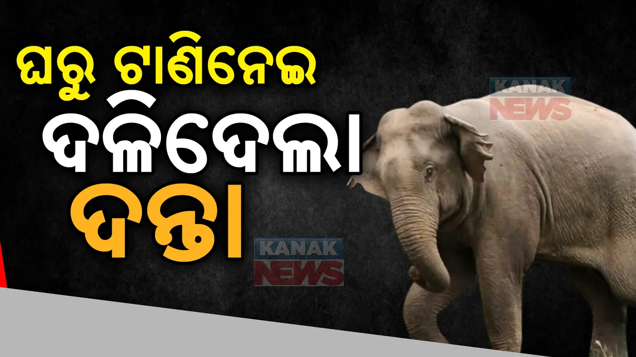  ଜୀବନ ନେଲା ନରହନ୍ତା ଦନ୍ତା, ଅଳ୍ପକେ ବର୍ତ୍ତିଲେ ମହିଳାଙ୍କ ସ୍ୱାମୀ