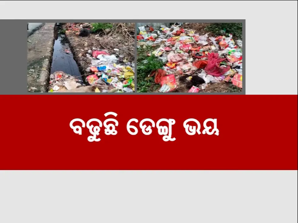  ଯୁଆଡ଼େ ଦେଖିବେ କୁଢ଼ କୁଢ଼ ଅଳିଆ; ବଢୁଛି ଡେଙ୍ଗୁ ଭୟ, ଚିହ୍ନଟ ହେଲେଣି ୫୫ ରୋଗୀ