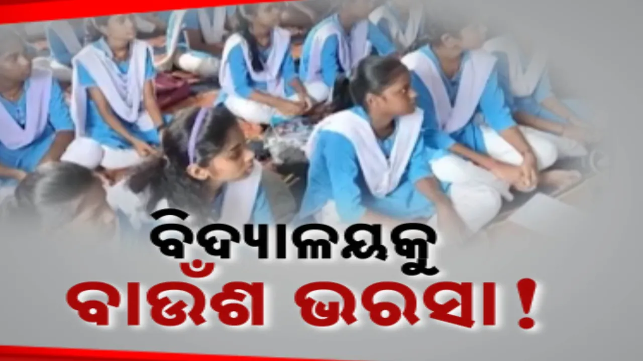  ଫାଇଭ-ଟି କାର୍ଯ୍ୟକ୍ରମର ଫିଟୁଛି ଗୁମର । ଦୁର୍ନୀତିକୁ ପଦାରେ ପକାଇଛି ବାଉଁଶ ଢିରା