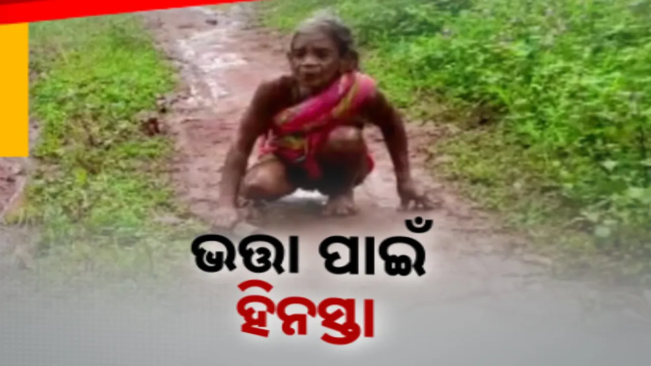  ଭତ୍ତା ପାଇଁ ହିନସ୍ତା ହିତାଧିକାରୀ: ଗୁରୁଣ୍ଡି ଗୁରୁଣ୍ଡି ପଂଚାୟତ କାର୍ଯ୍ୟାଳୟ ଗଲେ ୮୦ ବର୍ଷୀୟ ବୃଦ୍ଧା