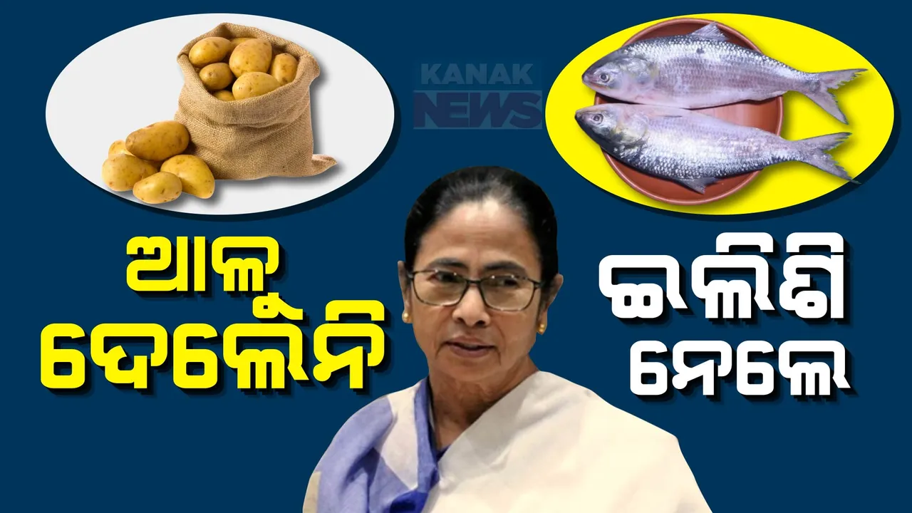  ଆଳୁ ପାଇଁ ହନ୍ତସନ୍ତ କଲେ, ହେଲେ ଆବଶ୍ୟକ ବେଳେ ଇଲିଶି ବୋହିନେଲେ