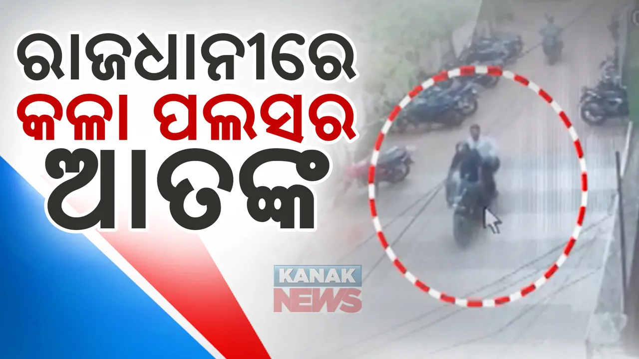  ରାଜଧାନୀରେ କଳା ପଲସର୍ ଆତଙ୍କ; ଦ୍ୱିପ୍ରହରରେ ଝାମ୍ପି ନେଲେ ସାଢେ ତିନି ଲକ୍ଷ