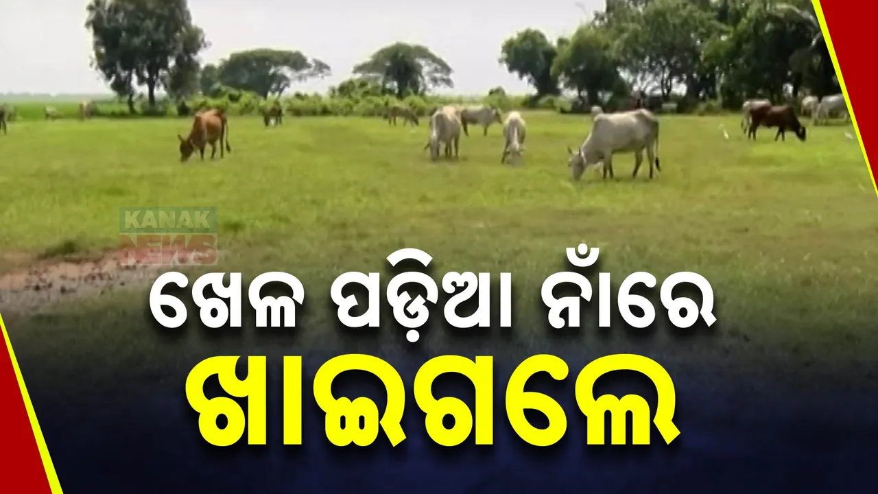  ଖେଳପଡ଼ିଆ ନାଁରେ ୨୫ କୋଟି ଚଳୁ: କିଏ ଖାଇଛି ଖେଳପଡ଼ିଆ ଟଙ୍କା?