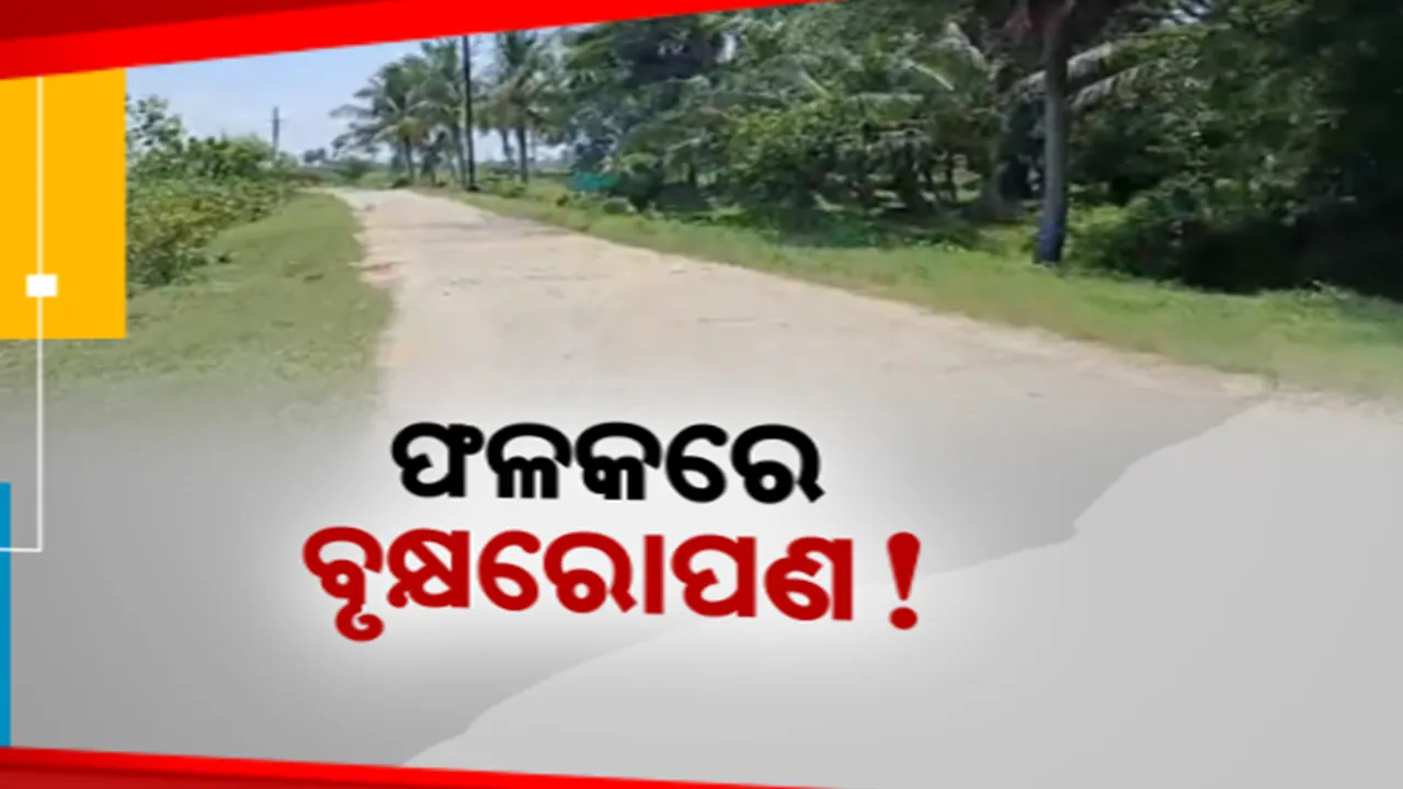  ବନୀକରଣ ନାଁରେ ମହା ଦୁର୍ନୀତି ! ଫଳକରେ ନାହିଁ ଖର୍ଚ୍ଚର ହିସାବ