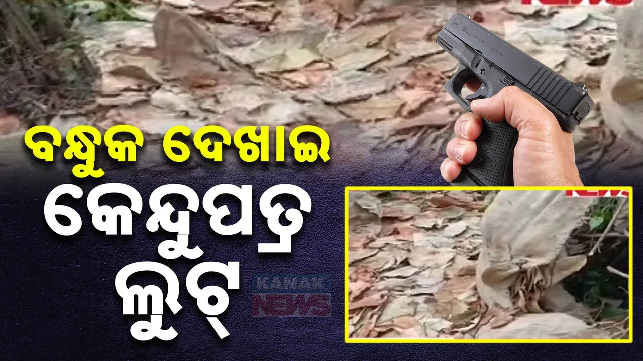  ନୟାଗଡ ଦଶପଲ୍ଲା ସାକେଣୀ ଠାରେ ଥିବା କେନ୍ଦୁପତ୍ର ଗୋଦାମରୁ ଲୁଟ । ବନ୍ଧୁକ ଦେଖାଇ ଲୁଟିନେଲେ କେନ୍ଦୁପତ୍ର