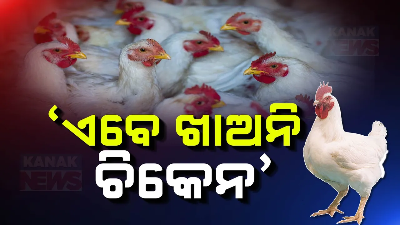  ଓଡ଼ିଶାକୁ ବାର୍ଡ ଫ୍ଲୁ ଭୟ । ହଟସ୍ପଟ ପାଲଟିଛି ପିପିଲି । ଚିକେନ ନ ଖାଇବାକୁ ସ୍ୱାସ୍ଥ୍ୟ ବିଭାଗର ପରାମର୍ଶ