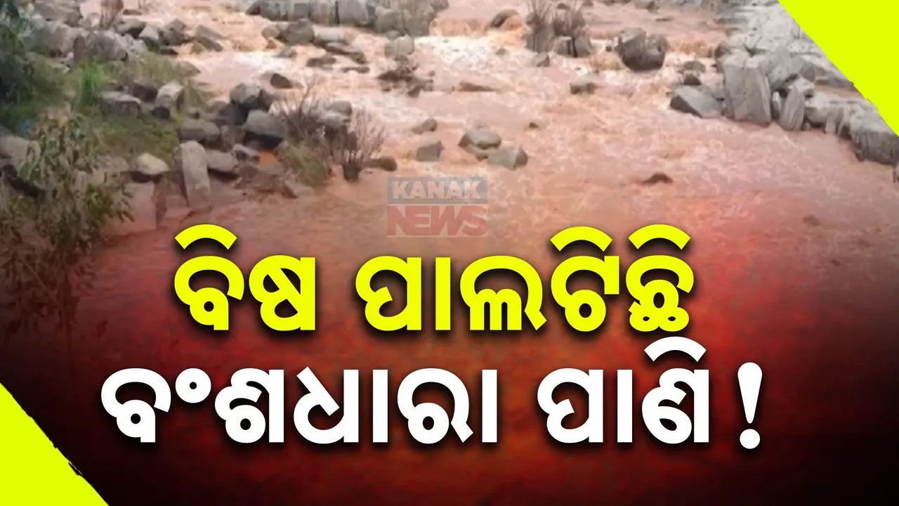  ବଂଶଧାରା ନଦୀରେ ମିଶିଲା ବିଷାକ୍ତ ପାଣି । ପ୍ରଭାବିତ ହେଲା ଜଳଚର ଜୀବଙ୍କ ଜୀବନ