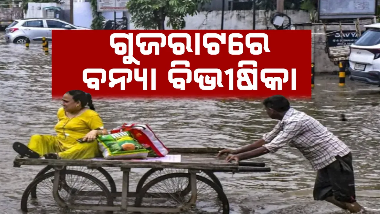  ବନ୍ୟାରେ ଉବୁଟୁବୁ ଗୁଜରାଟ, ଗଲାଣି ୩୫ ଜୀବନ । କଲେଜ କ୍ୟାମ୍ପସଠୁ ଘର ଛାତ, ଜନବସତିରେରେ ବୁଲୁଛି କୁମ୍ଭୀର ।