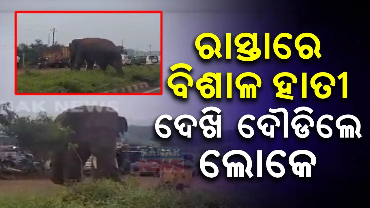  ଯାଜପୁର ଝୁମ୍ପାଣ ଅଞ୍ଚଳରେ ହାତୀ ଆତଙ୍କ ; ଖାଦ୍ୟ ପାଇଁ ଗାଁ ଭିତରକୁ ପଶିଆସୁଛି ହାତୀ